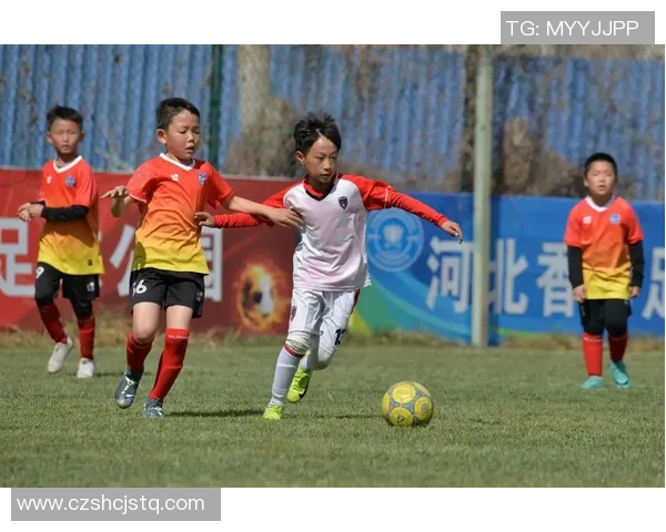 从少年到巨星：足球球员成长轨迹与巅峰对比分析