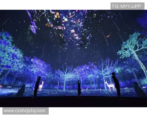 新星足球星币助力球迷畅享竞技体验打造全新沉浸式互动平台